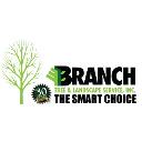Branch Tree & Landscape Service logo